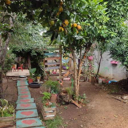 Casa Lothuz Spacio Cultural Y Disidente San Cristobal de las Casas Ngoại thất bức ảnh